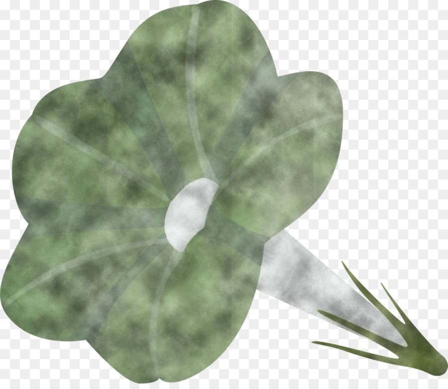 Flor Roxa，Florescer PNG