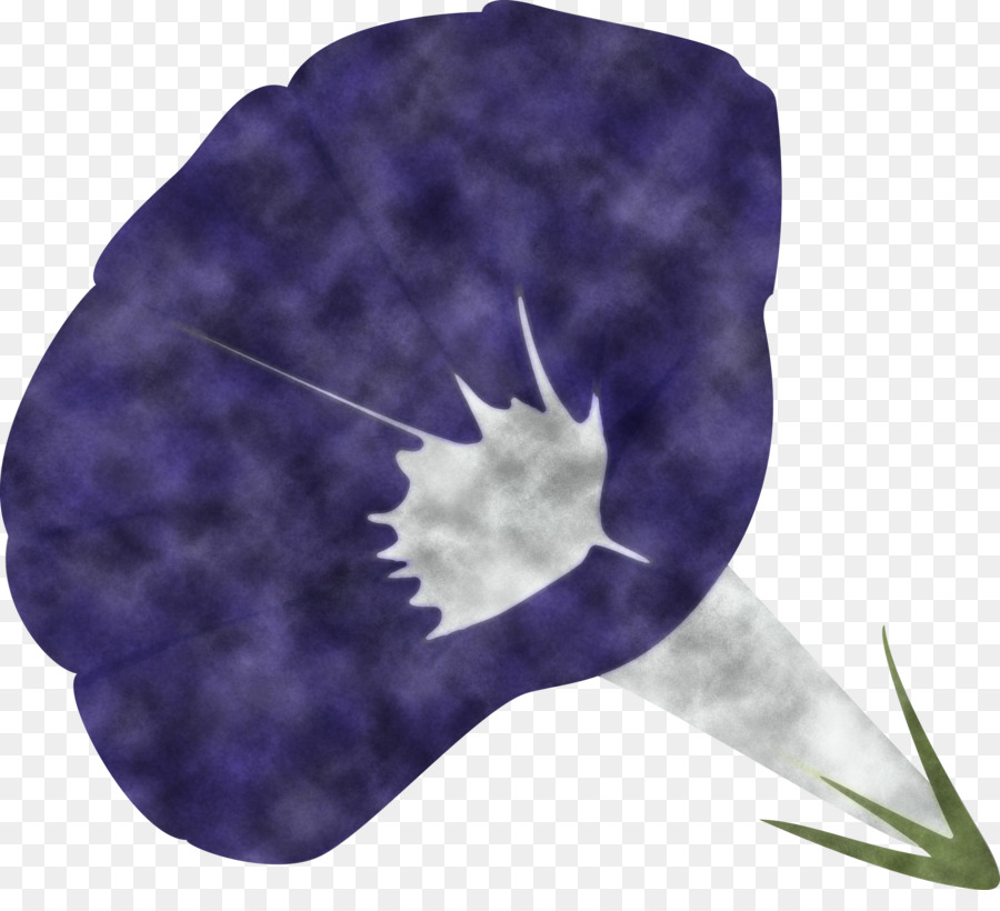 Roxo，Violeta PNG