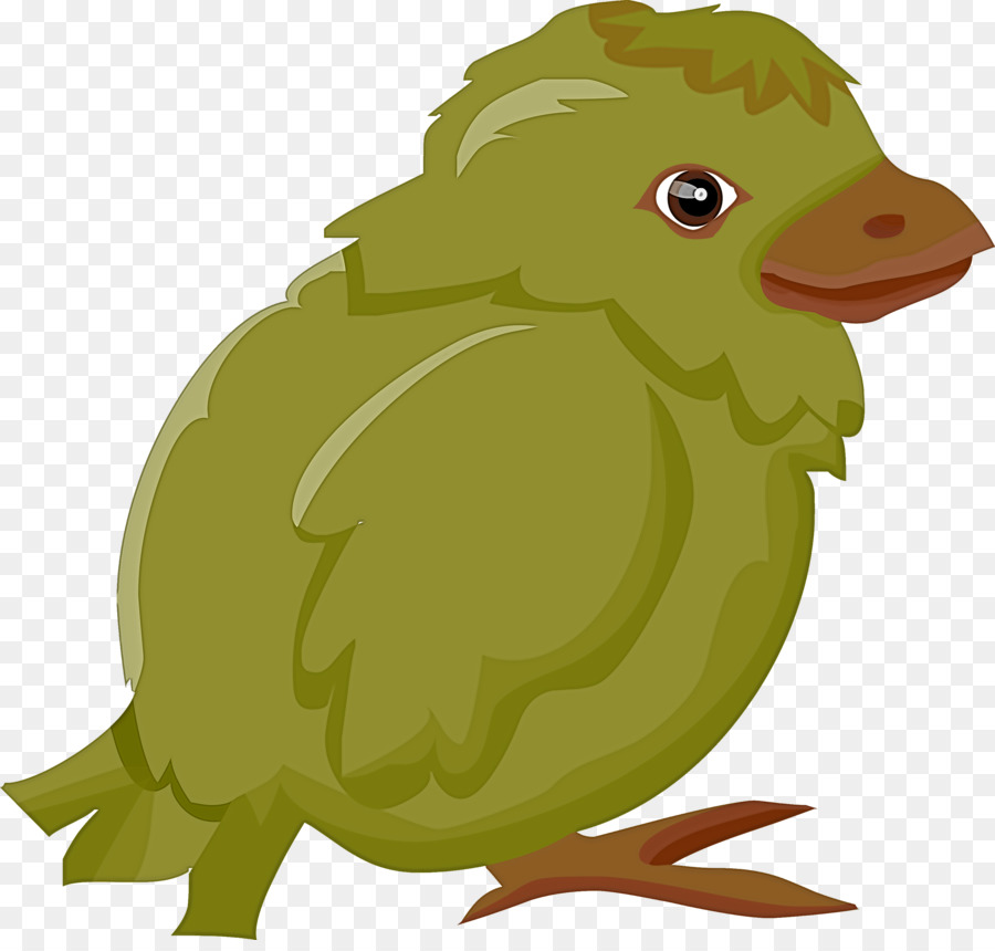 Cartoon，Aves PNG