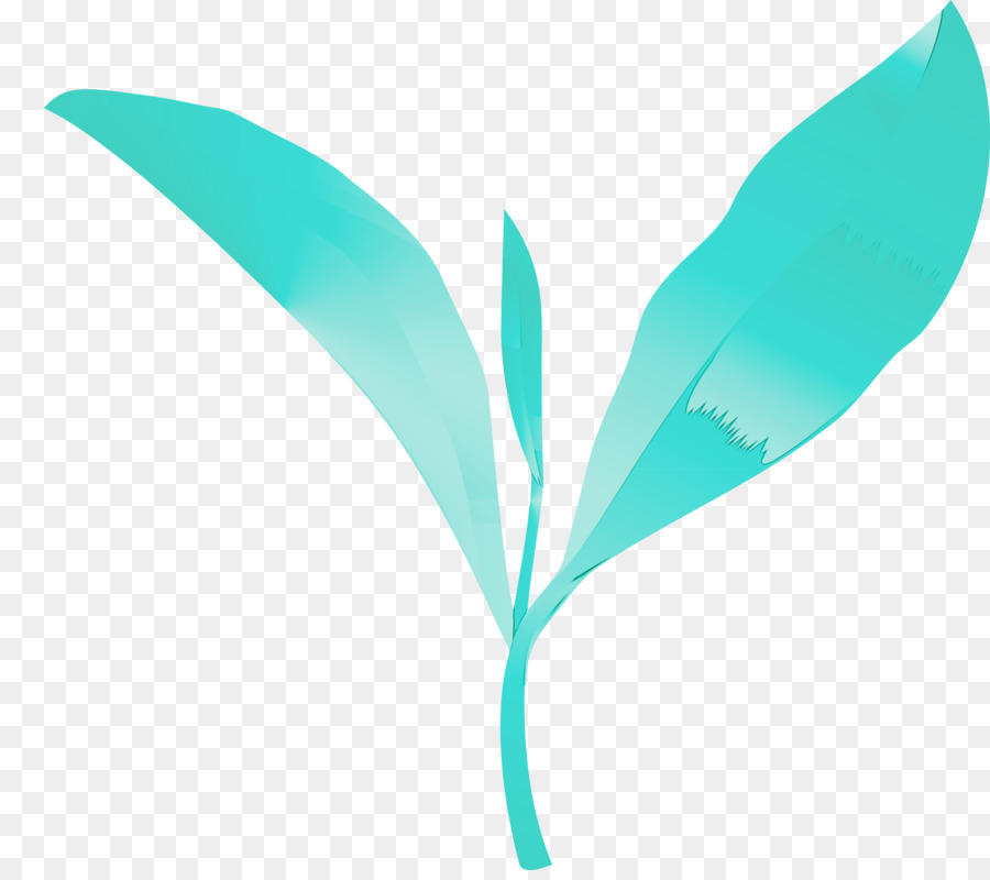 Folhas，Plantar PNG