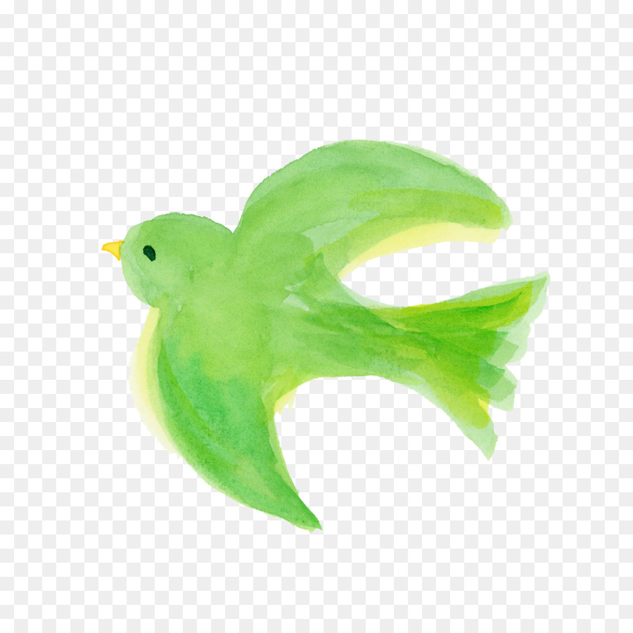 Verde，Aves PNG