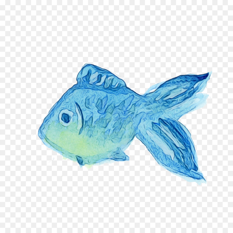 Peixe，Turquesa PNG