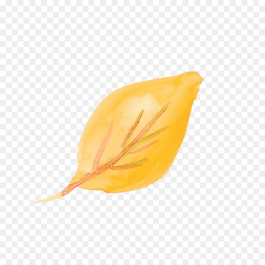 Laranja，Amarelo PNG