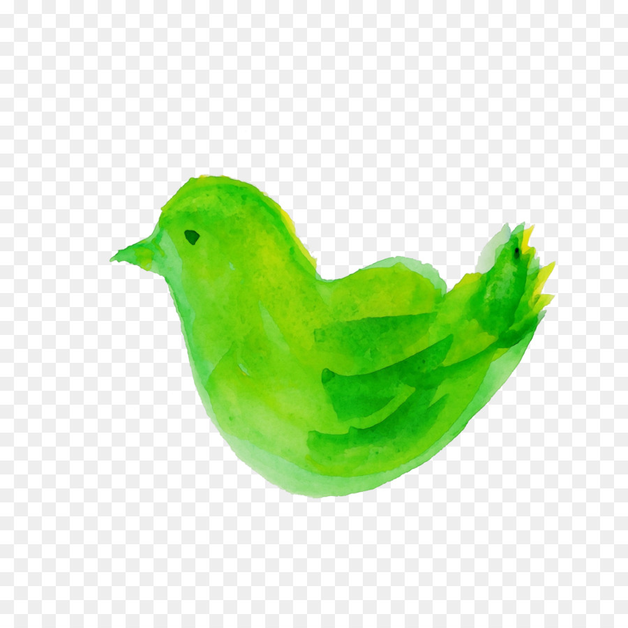 Verde，Aves PNG