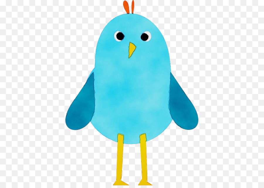 Turquesa，Aves PNG