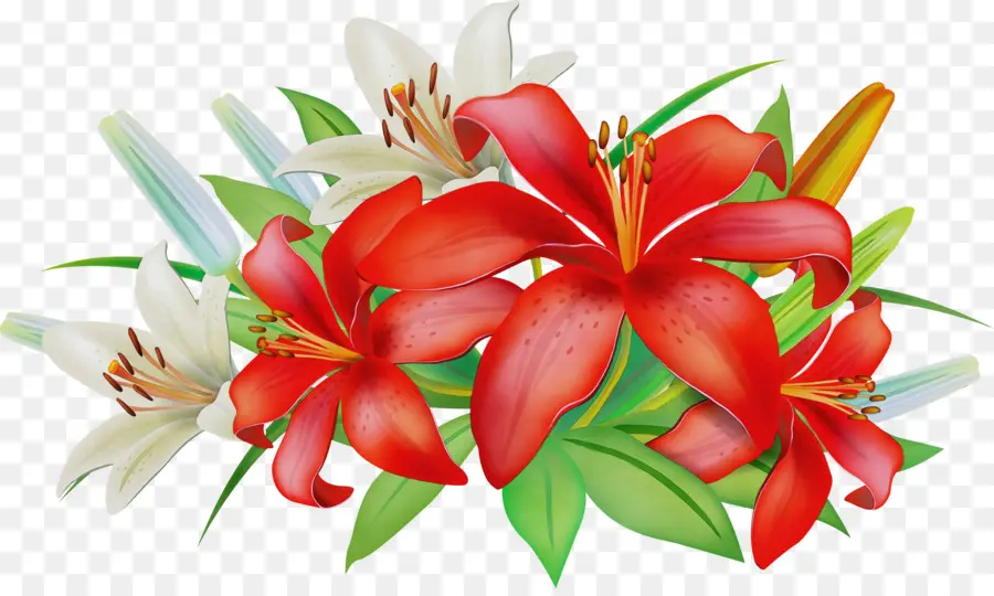 Flor，Vermelho PNG