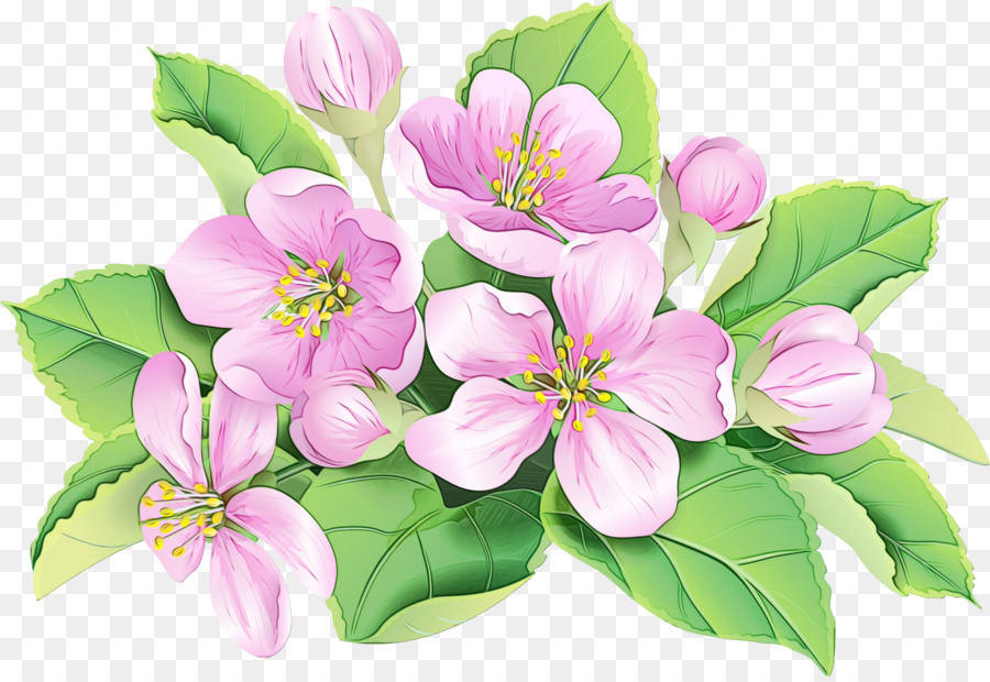 Flores，Florescer PNG