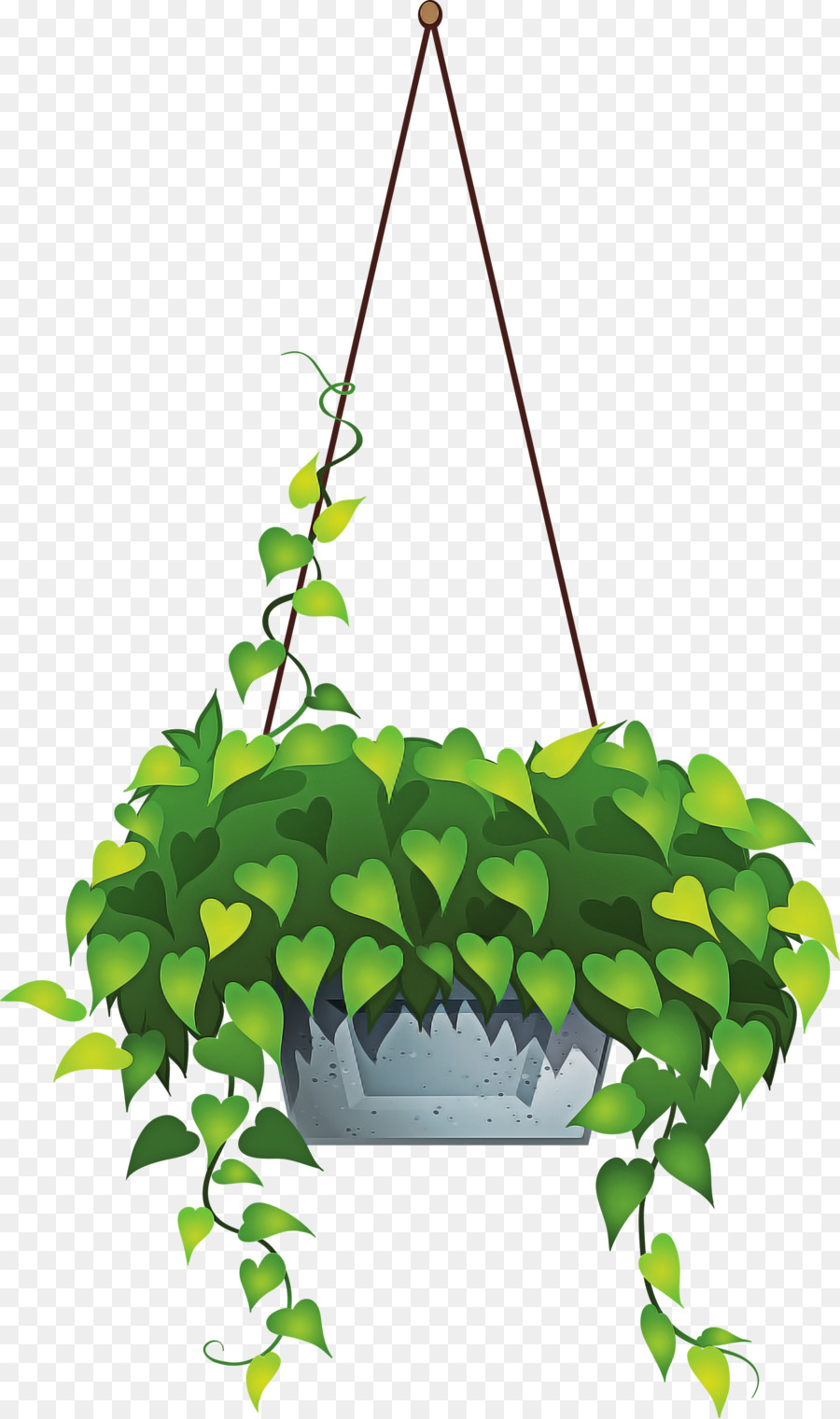 Planta Suspensa，Folhas PNG