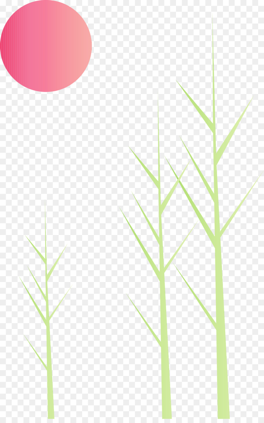 Grama，Planta PNG