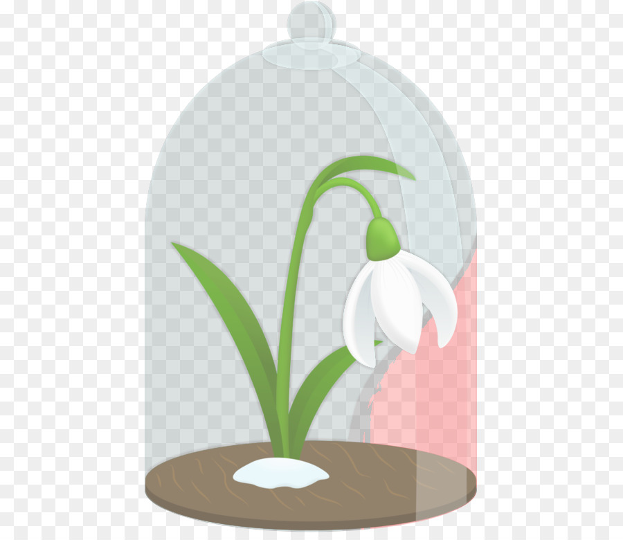 Snowdrop，Flowerpot PNG