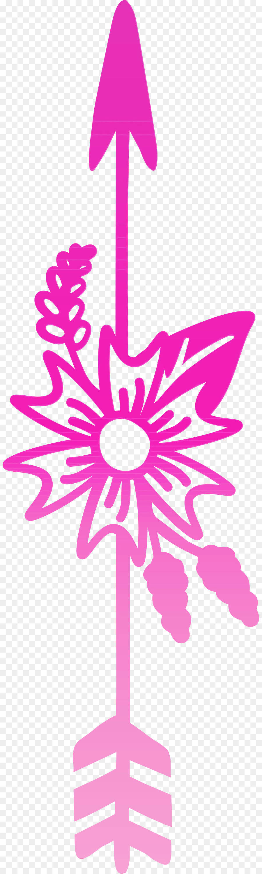 Cor De Rosa，Magenta PNG