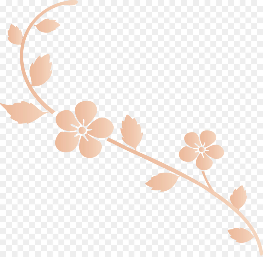 Desenho Floral，Flor PNG