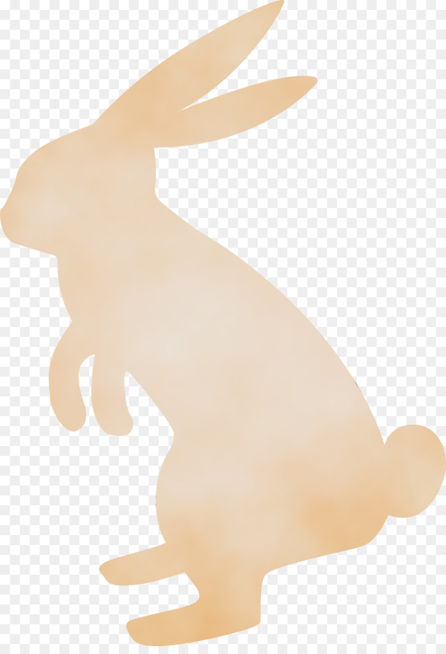 Coelho，Animal Figura PNG