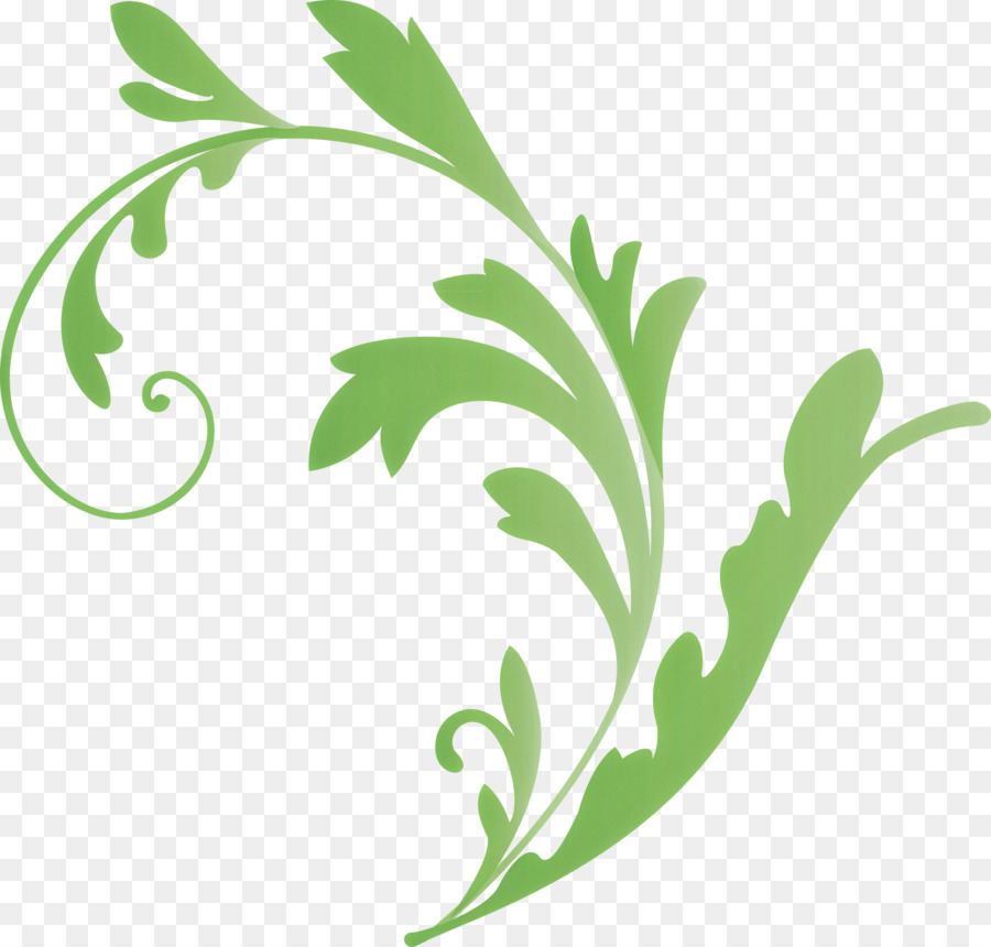 Desenho Floral，Redemoinho PNG