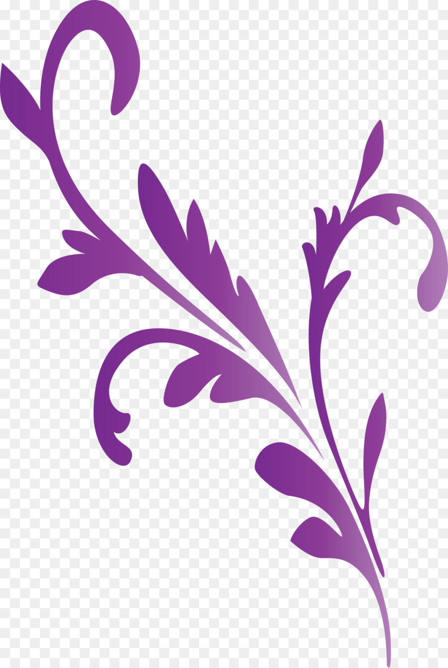 Desenho Floral，Folhas PNG