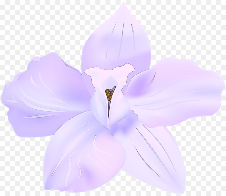 Flor，Azul PNG