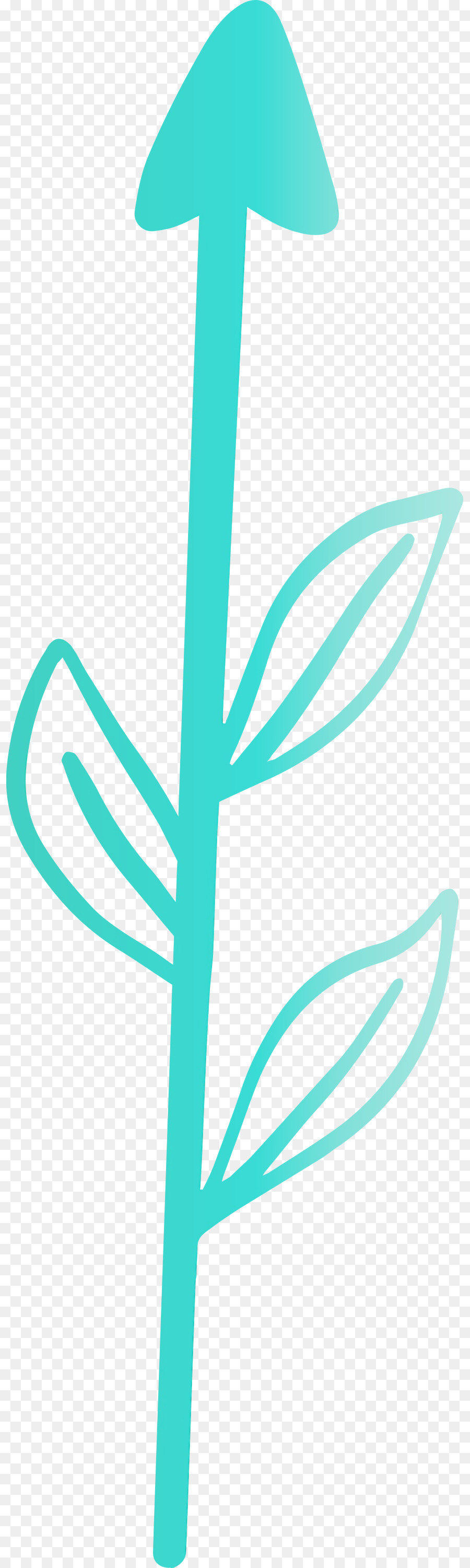 Turquesa，Teal PNG