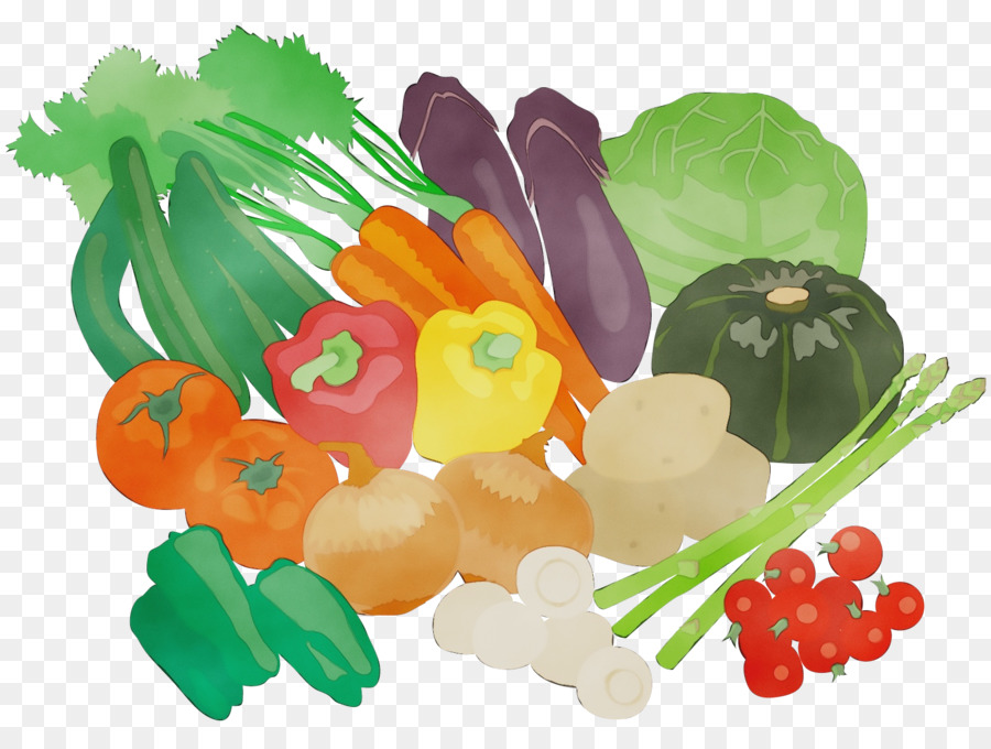 Vegetal，Planta PNG