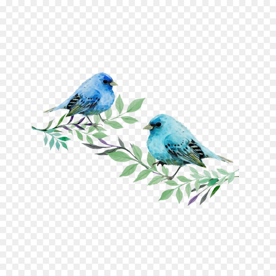 Aves，Montanha Azulão PNG