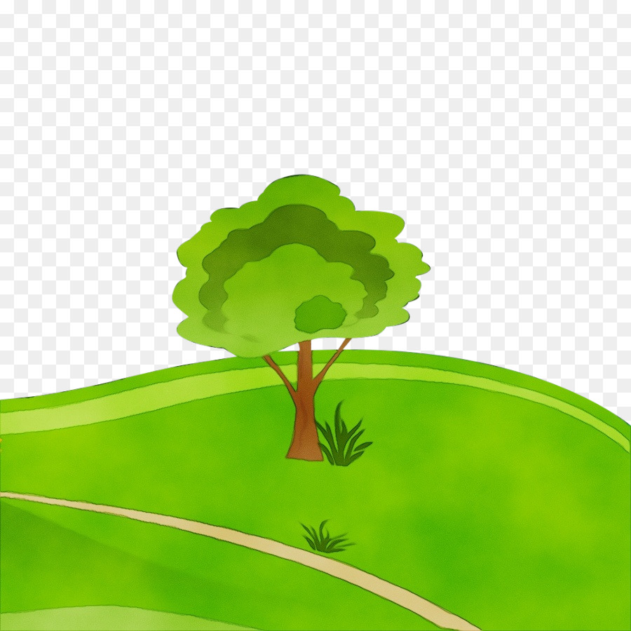 Verde，Folha PNG