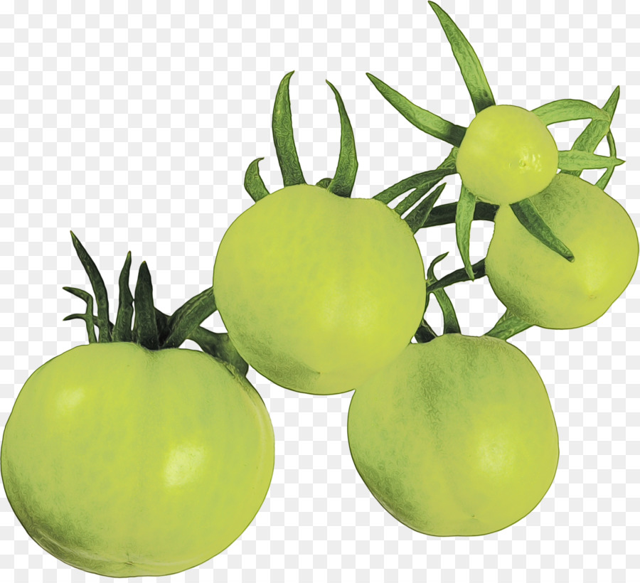 Verde，Frutas PNG