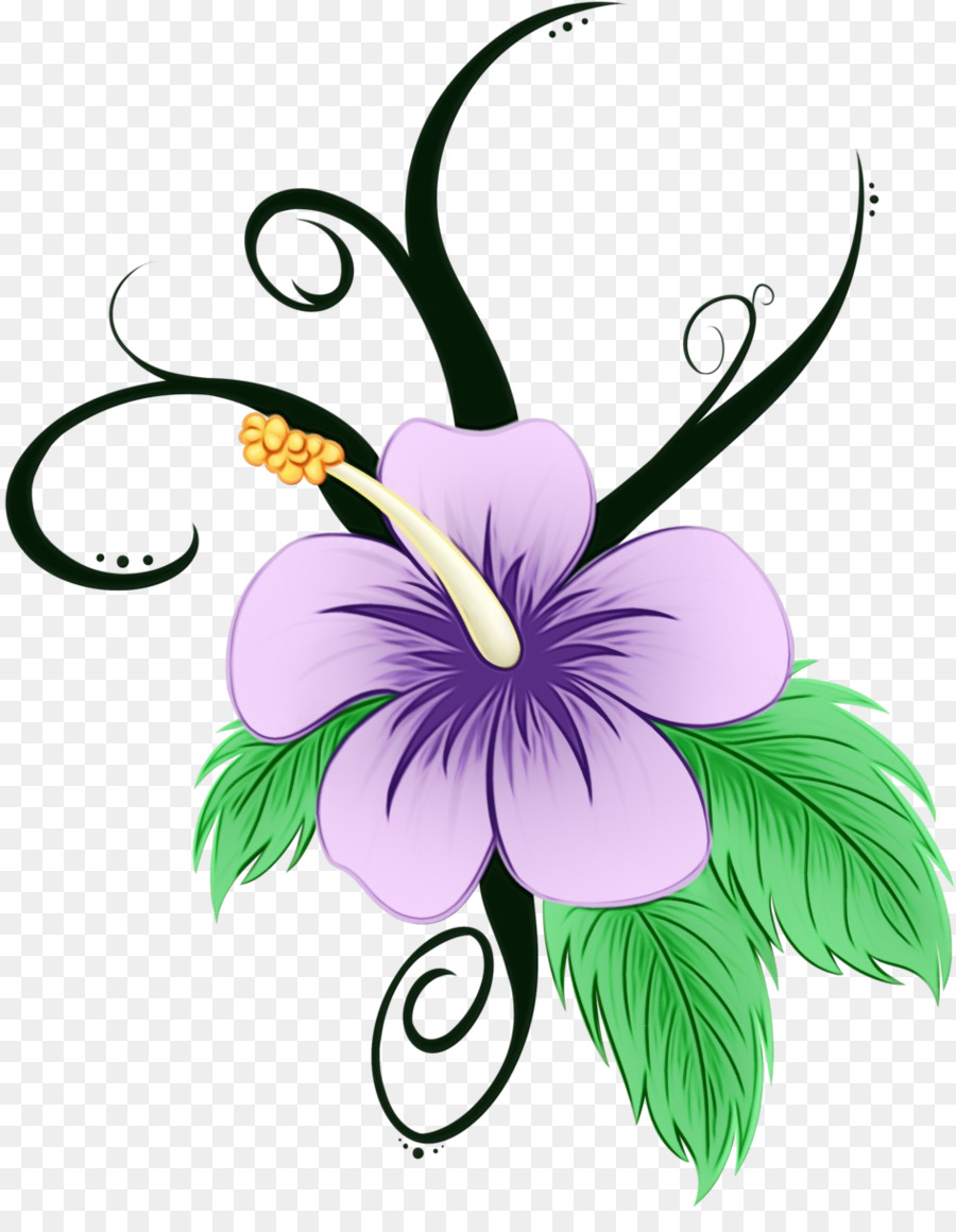 Flor，Planta PNG