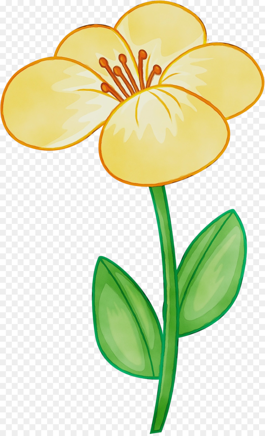 Flor，Amarelo PNG