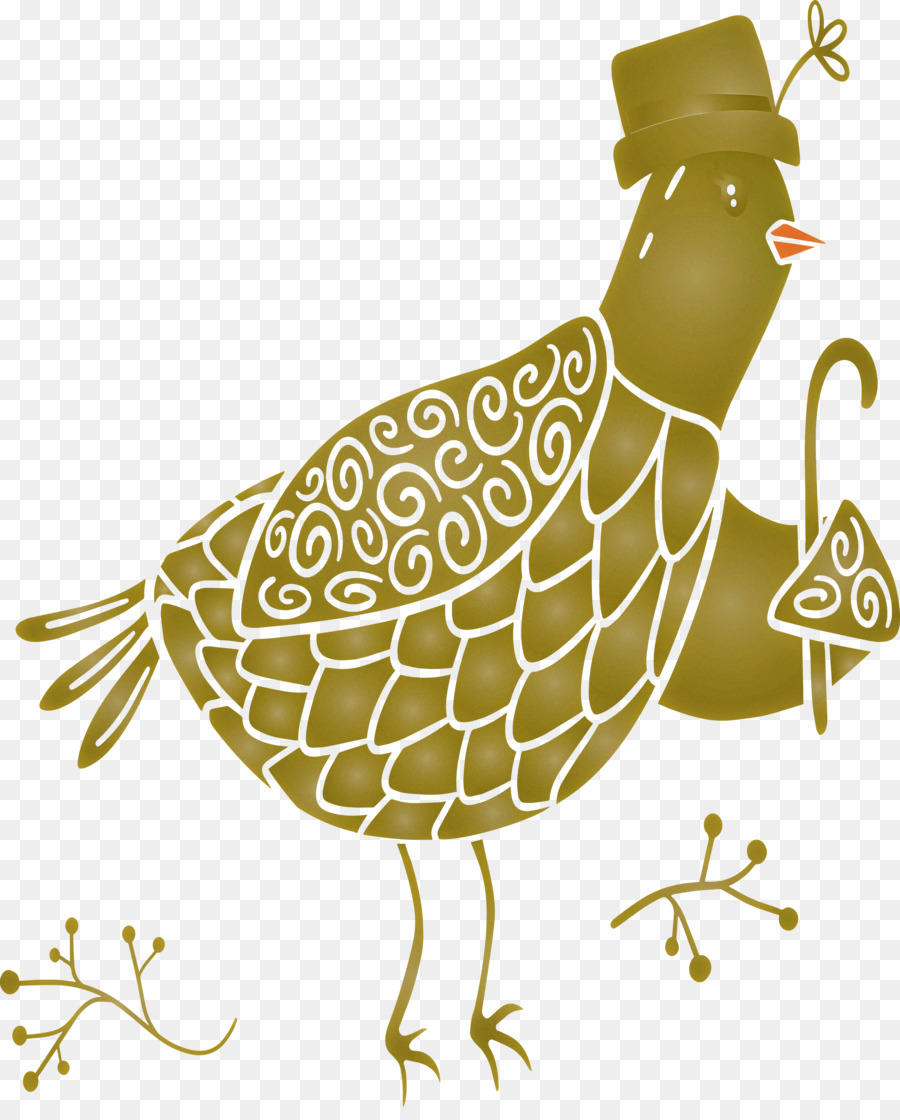 Aves，Bico PNG