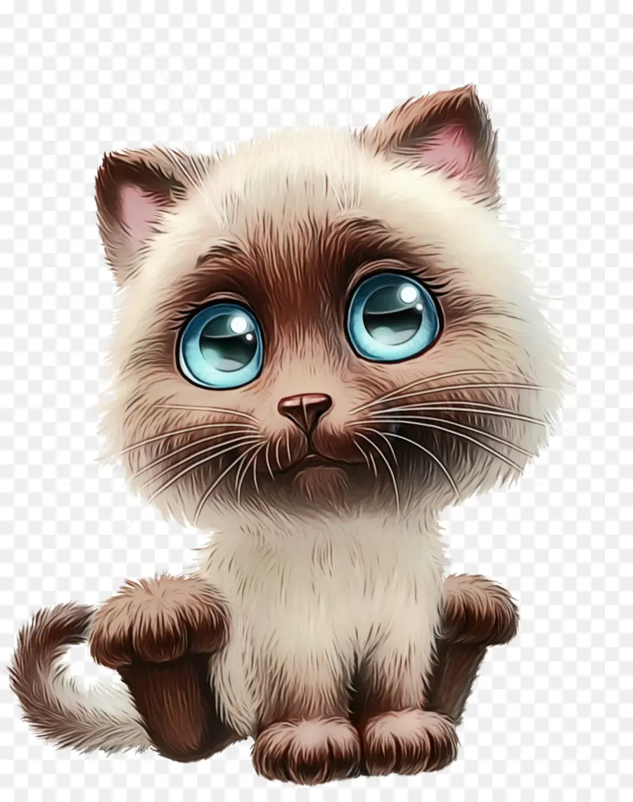 Gato，Gatinho PNG