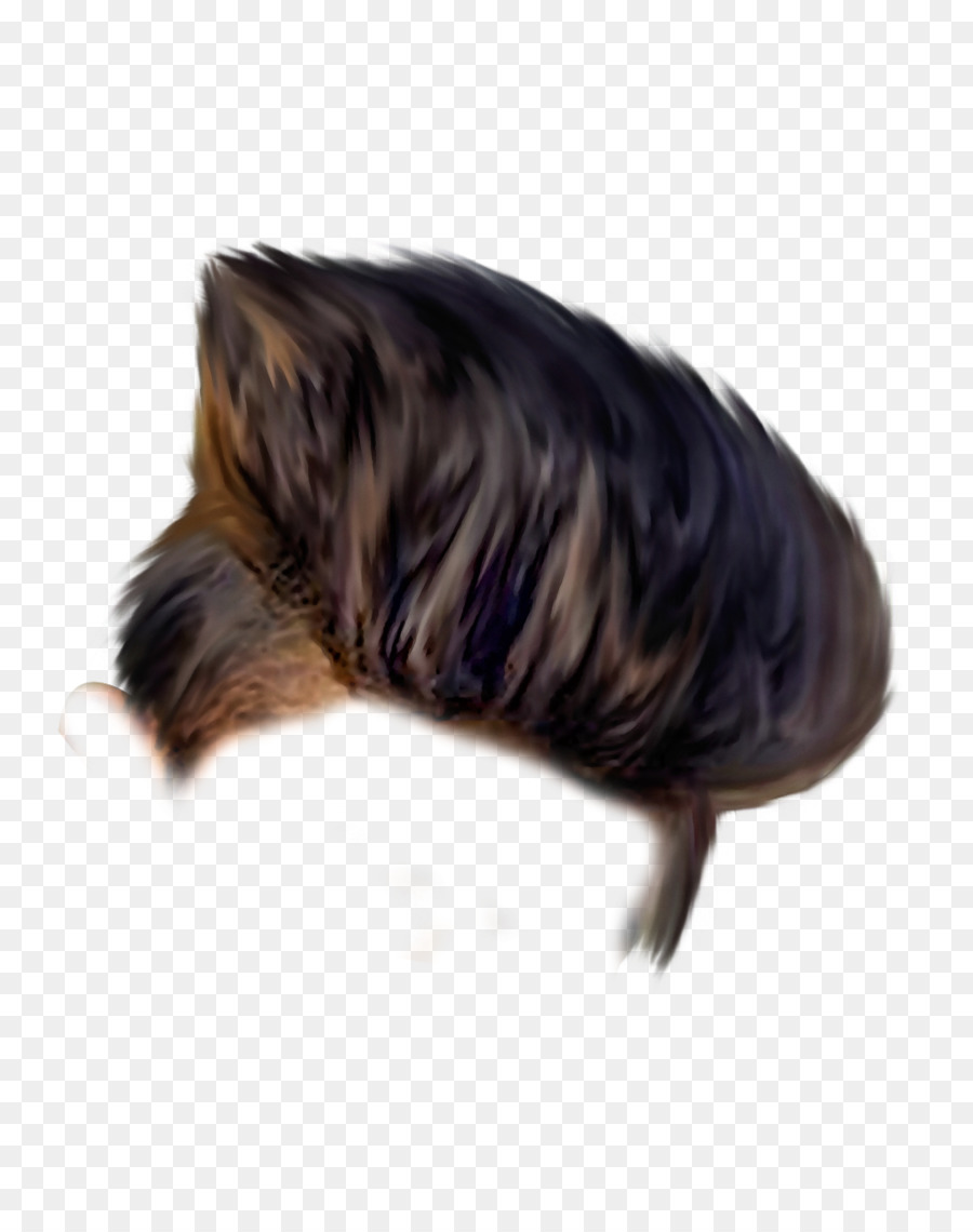 Cabelo，Brown PNG