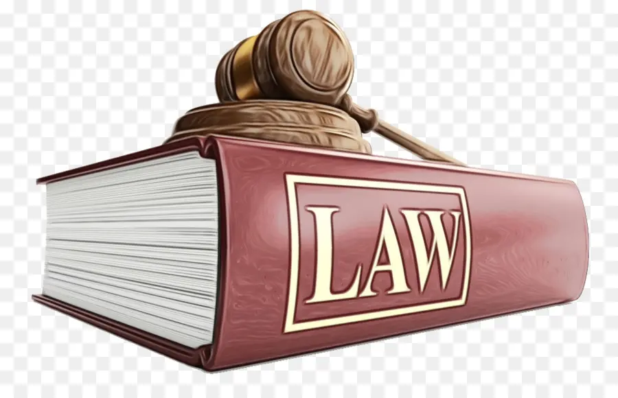Serviços De Suporte Jurídico Headley Inc，Danos Pessoais PNG