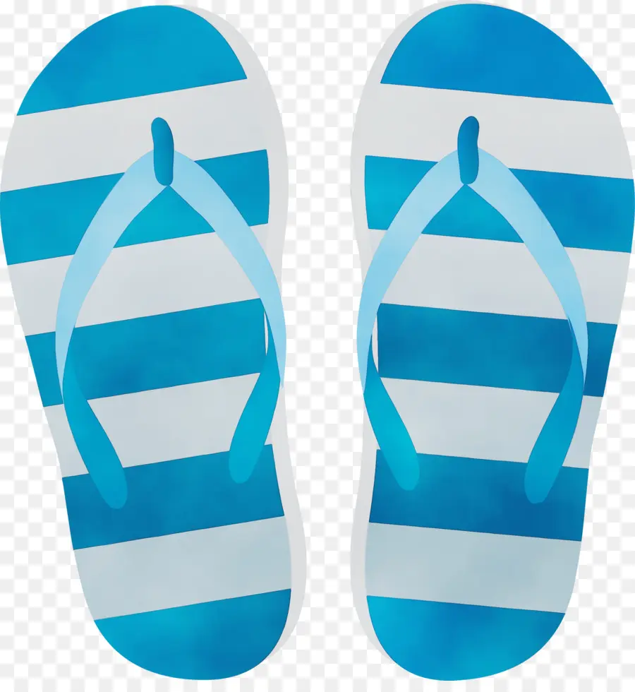 Flip Flops，Calçado PNG