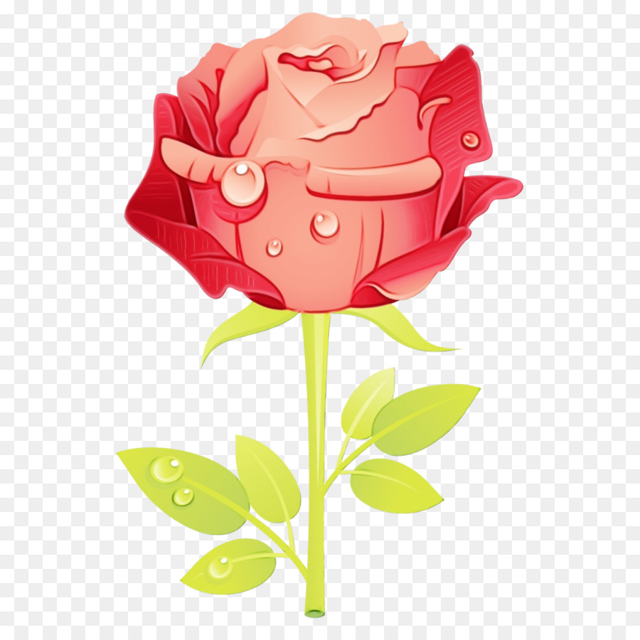 Rosa Vermelha，Folhas Verdes PNG