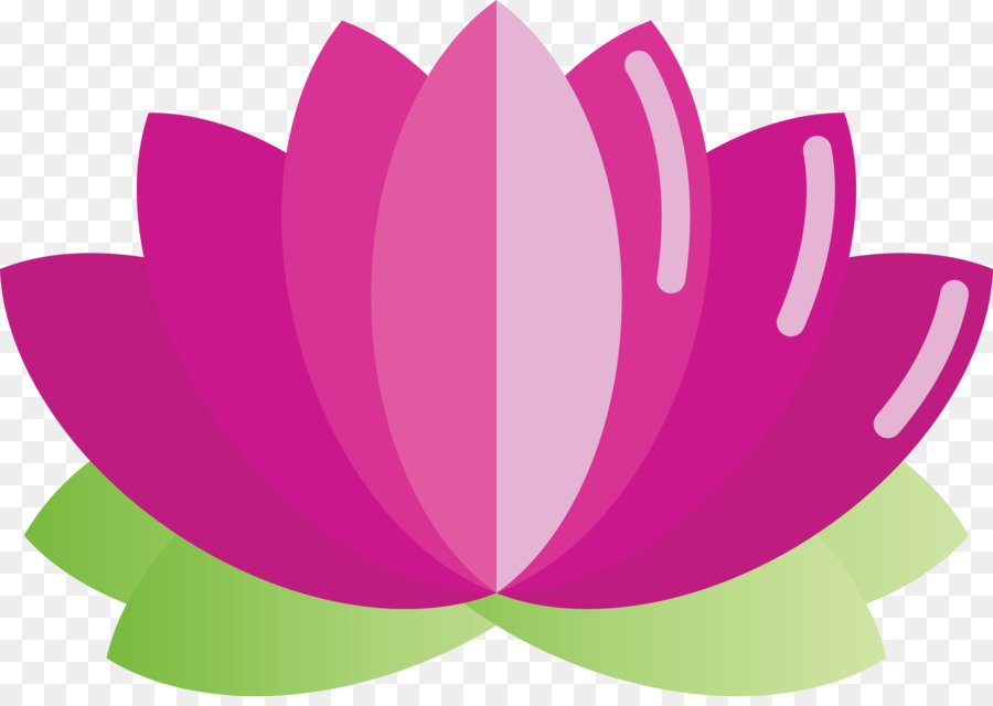 Flores De Lótus，Rosa PNG