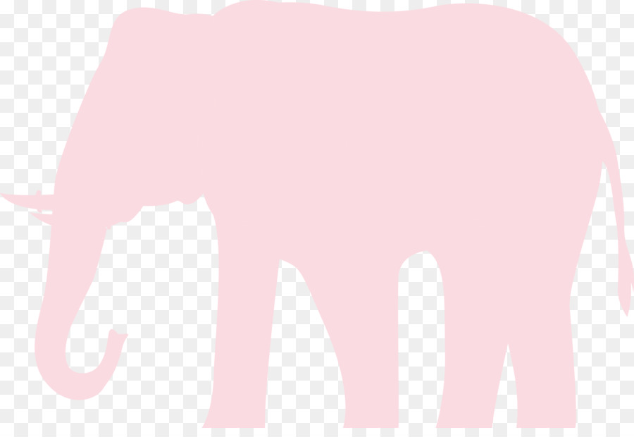 Elefante Indiano，Elefantes Africanos PNG