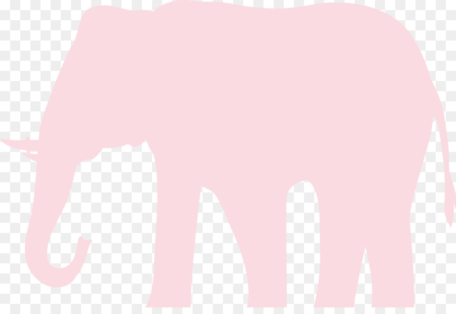 Elefante，Rosa PNG