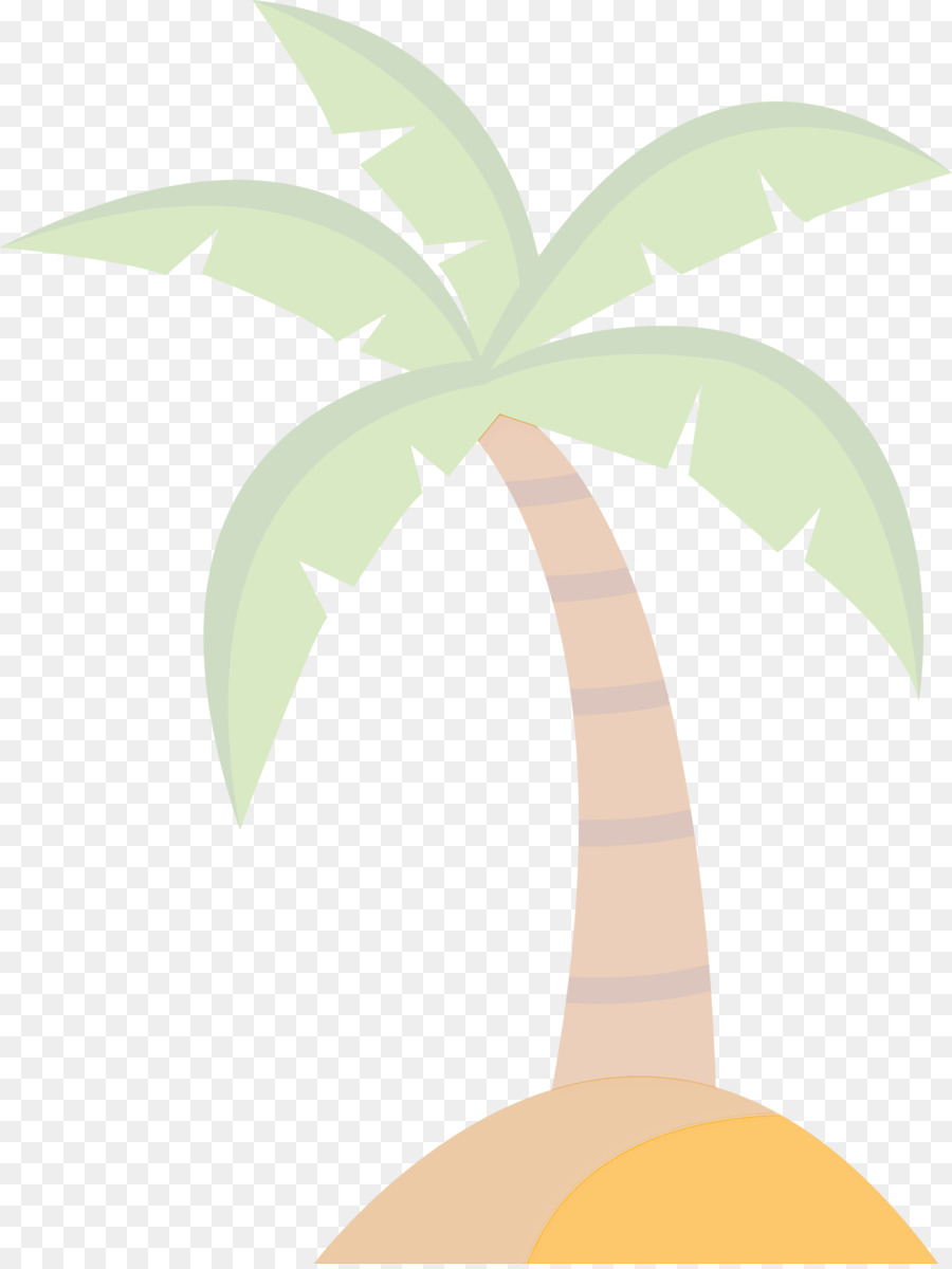 Palmeira，Coco PNG