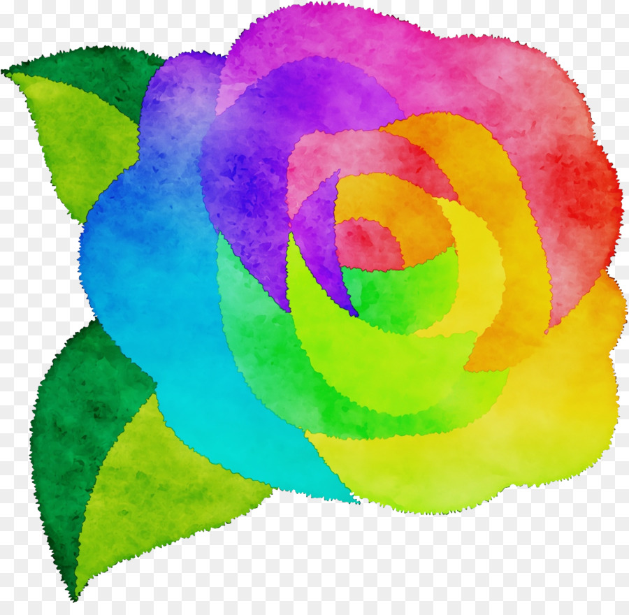 Rainbow Rose，Rosas Do Jardim PNG