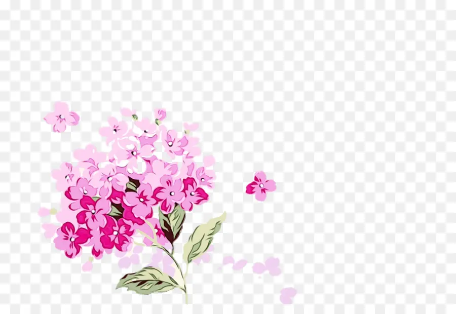 Desenho Floral，Florescer PNG