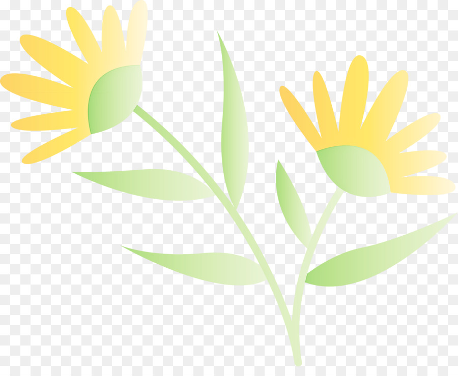 Planta De Haste，Oxeye Daisy PNG