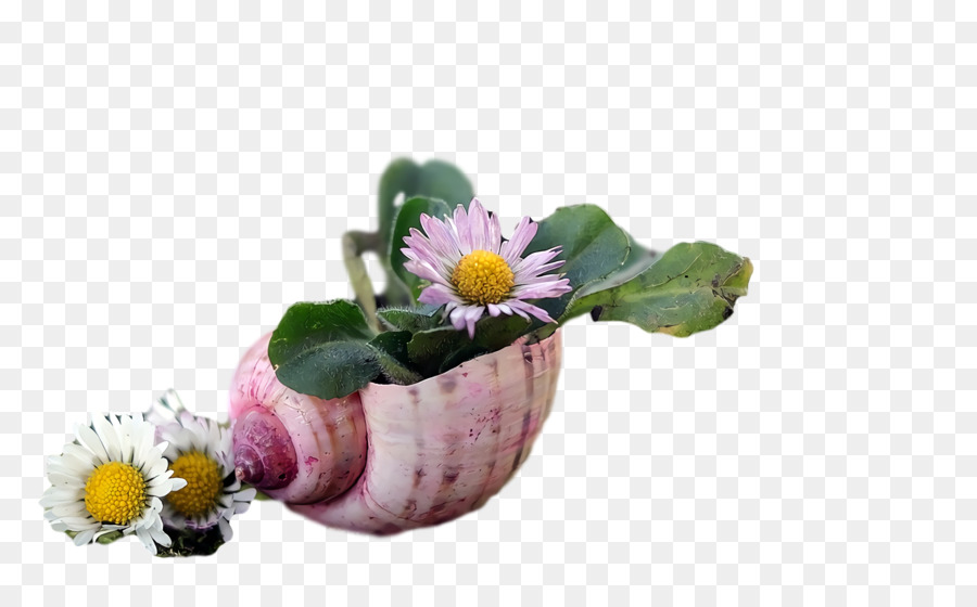 Flor，Flowerpot PNG