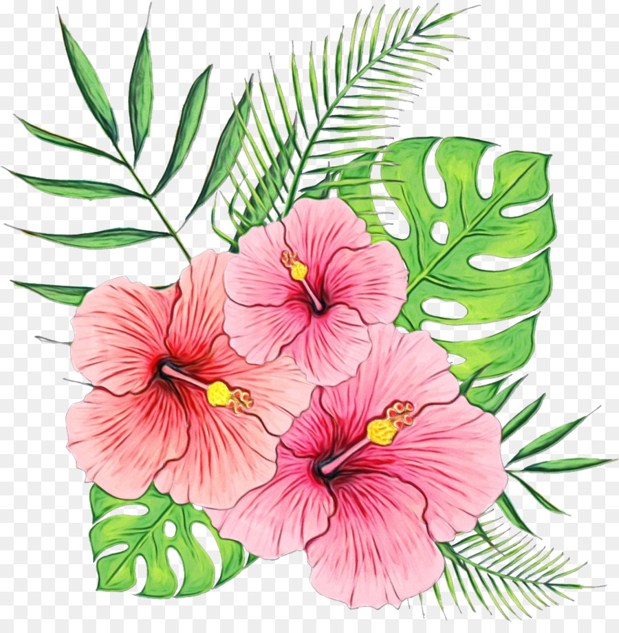 Design Floral，Planta Herbácea PNG