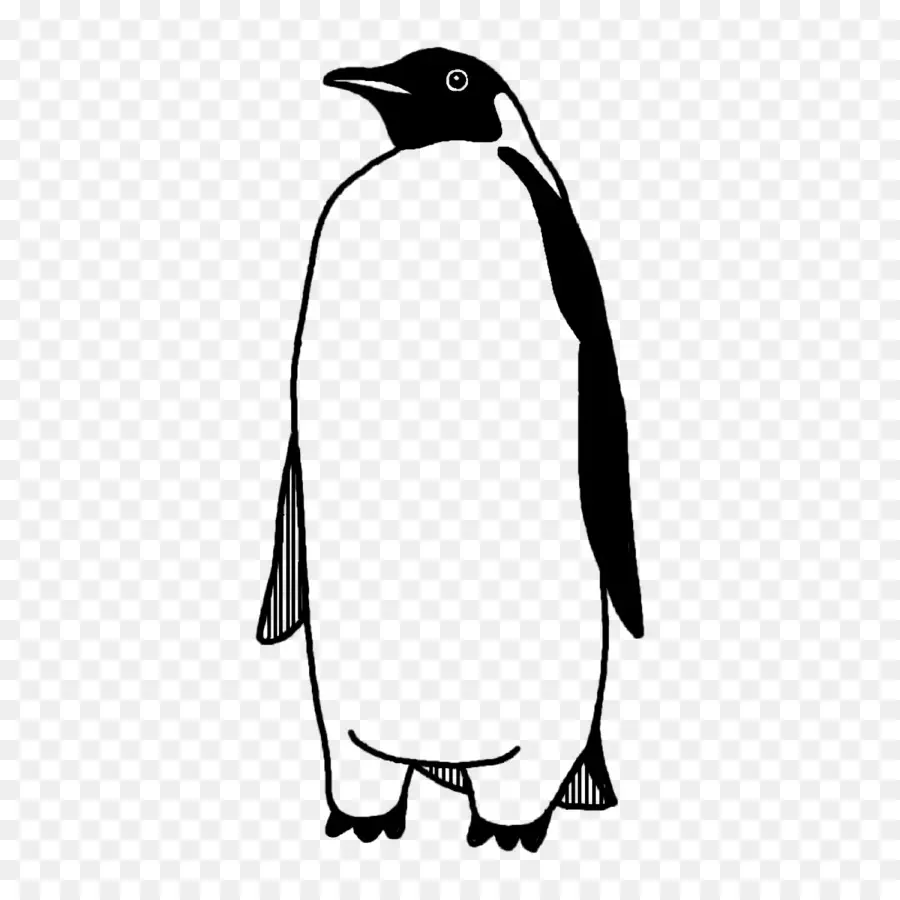 Pinguins，Arte De Linha PNG