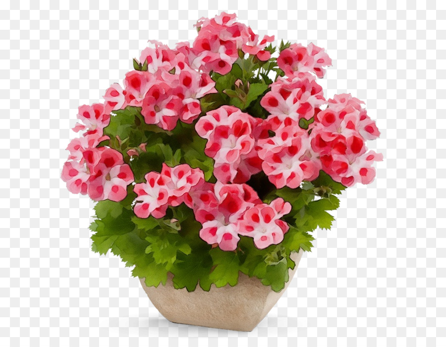 Loja De Flores，Presente PNG