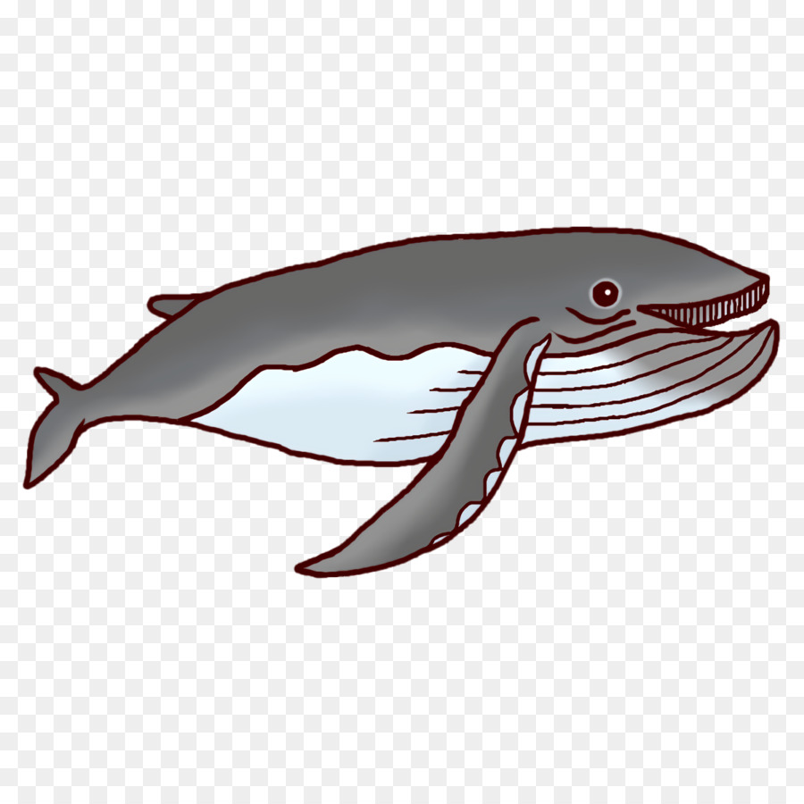 Boto，Dolphin PNG