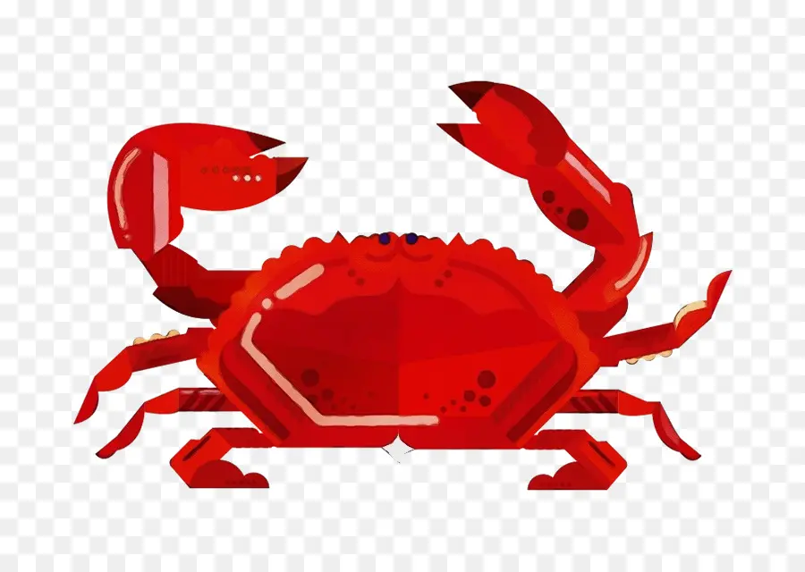 Dungeness Crab，Caranguejo De água Doce PNG