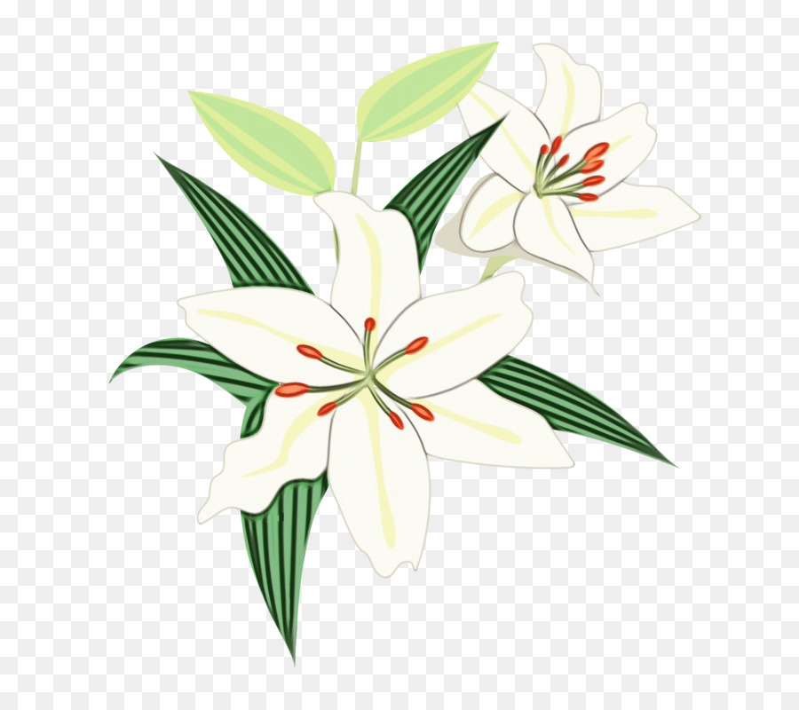 Design Floral，Planta De Haste PNG