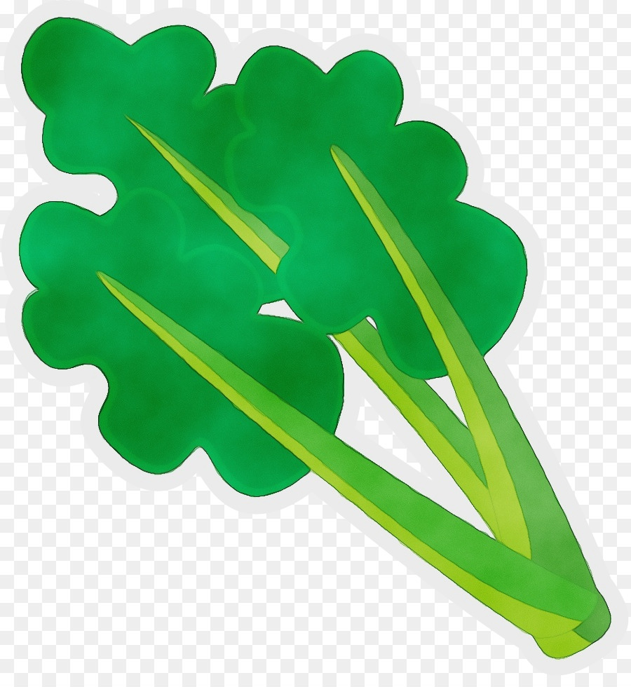 Folha，Verde PNG