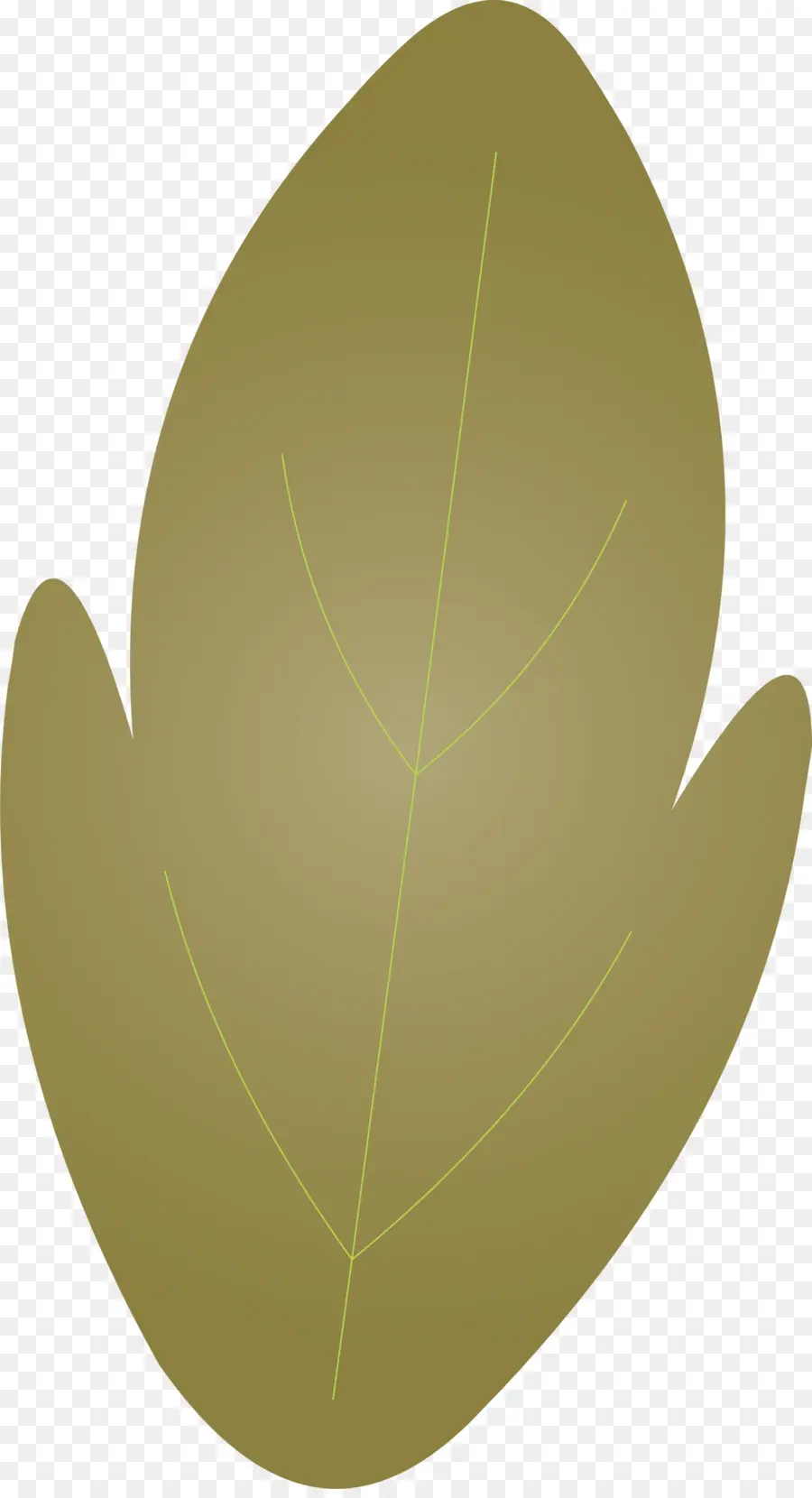 Folha Marrom，Natureza PNG