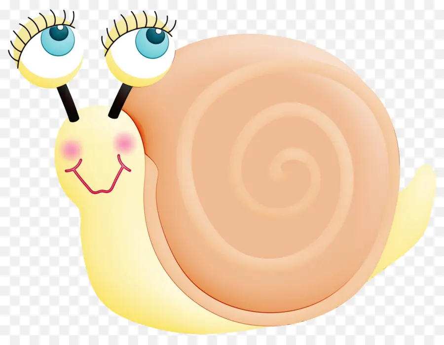 Caracol Sorridente，Concha PNG